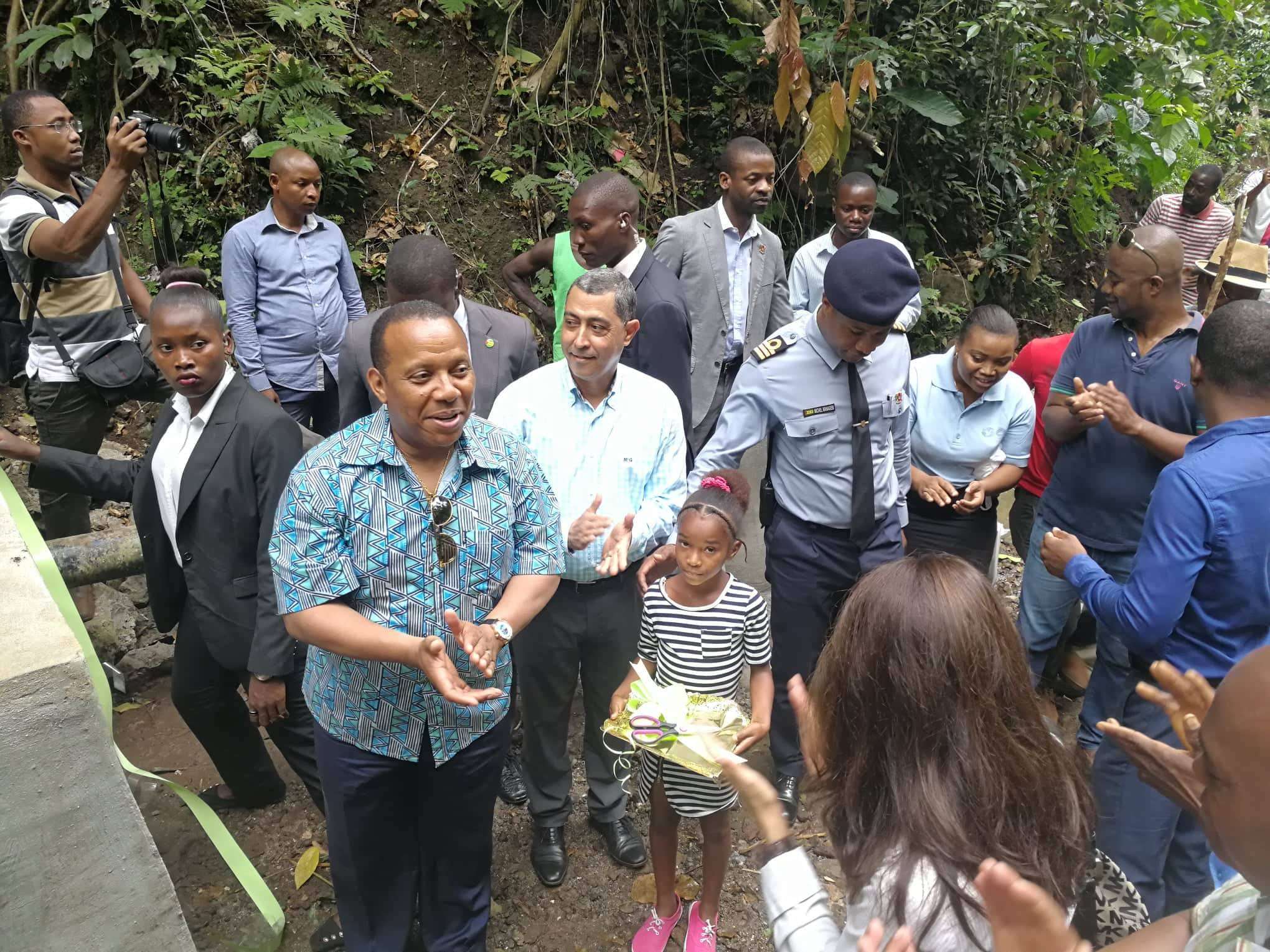 Pato38411687_2173532302971707_6104947878394855424_npato