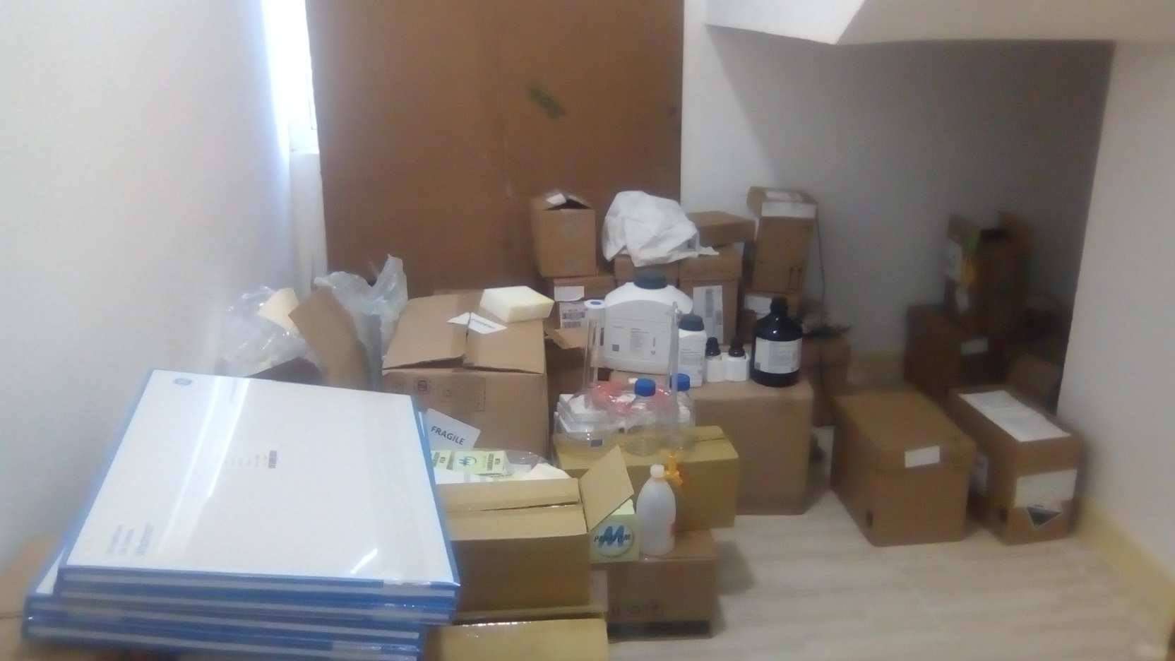 74624135_2649938561731631_3532888266300719104_n