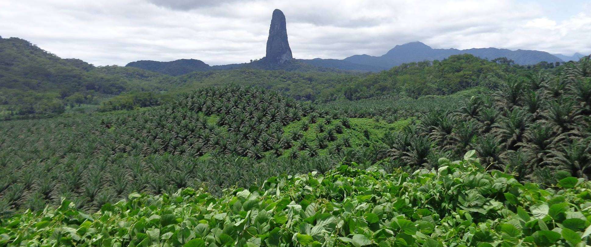 13244062_702901243183482_14oooooo39826256172138478_o