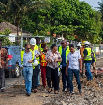Ministra do Ambiente volta a alertar para reposição das árvores na marginal 12 de julho