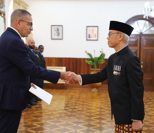 Carlos Vila Nova acredita novos embaixadores da Indonésia, Eslováquia, Áustria, Tailândia e Israel