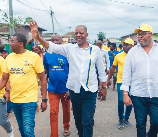 “ADI acredita numa maioria absoluta de 30 deputados” – Orlando da Mata