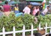 Preços dos bens e serviços mais consumidos por são-tomenses aumentaram 0,8% em Agosto-2026