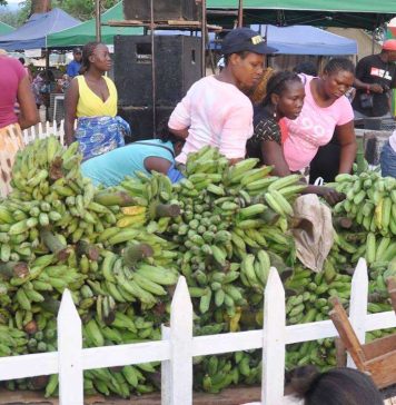Preços dos bens e serviços mais consumidos por são-tomenses aumentaram 0,8% em Agosto-2026
